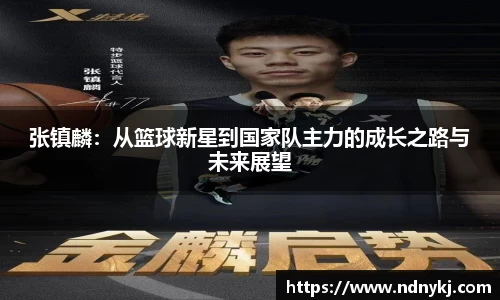 张镇麟：从篮球新星到国家队主力的成长之路与未来展望