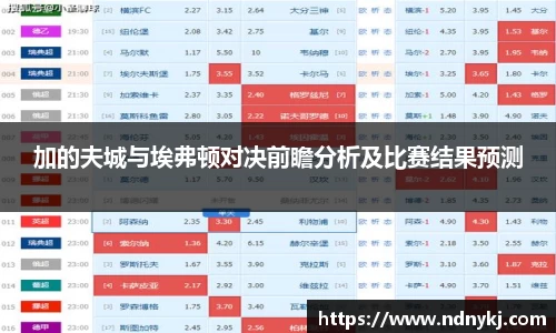 加的夫城与埃弗顿对决前瞻分析及比赛结果预测